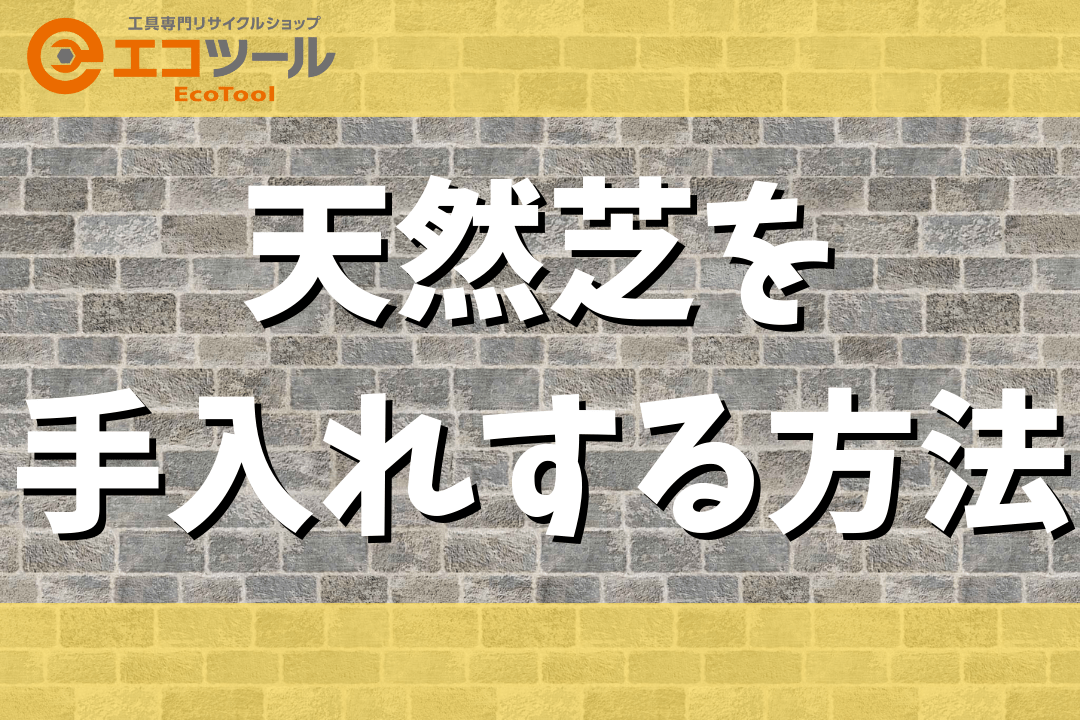 天然芝を手入れする方法まとめ！