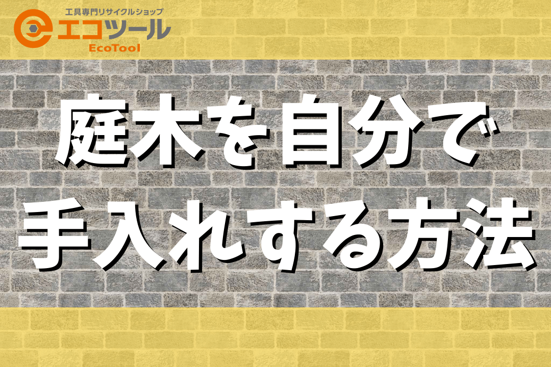 【初心者】庭木を自分で手入れする方法まとめ