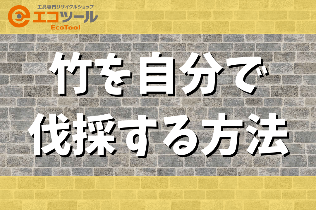 竹の伐採を自分でする方法まとめ