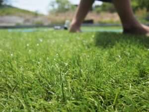 artificial_grass4